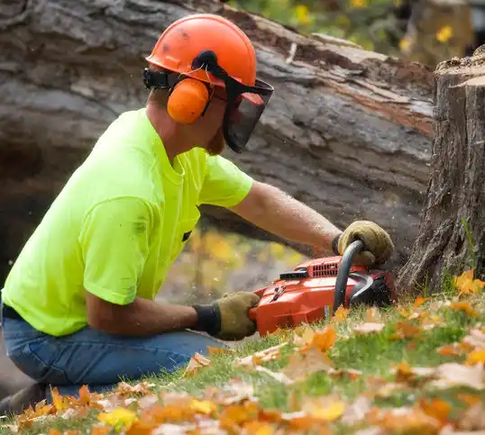 tree services East Valley